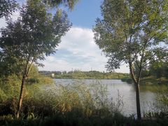 -马家湾湿地公园