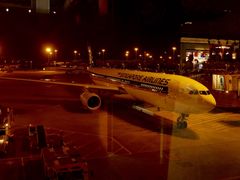 -新加坡航空公司(ION)