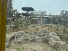 -武汉动物园