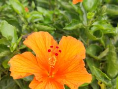 -风云岭森林公园