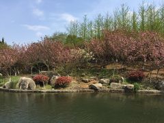 -白马涧龙池景区