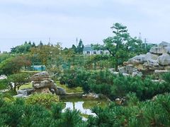 -呼吸森林·生态农庄农家乐私房菜