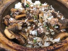 -红星光发煲仔饭(大石街店)