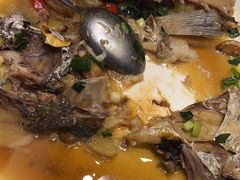 -骏莱海鲜鱼港(五角场店)
