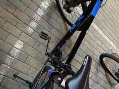 -道路口单车爱瓦士dahon大行