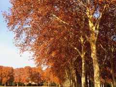 iphone_upload_pic-河南省黄河迎宾馆