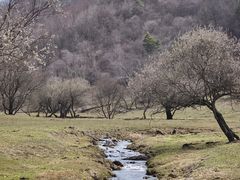 -大水川景区