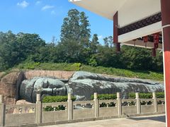 -三水森林公园