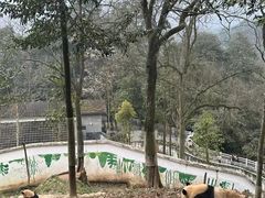 -碧峰峡风景区