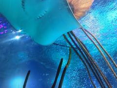 -沈阳海洋探索中心