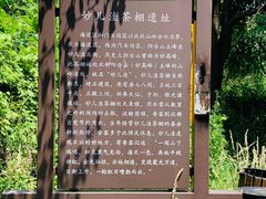 -阳台山自然风景区