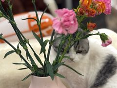 -肖仙仙羊肉汤·创于1996年(三官堂总店)