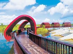 -芒洲湿地公园