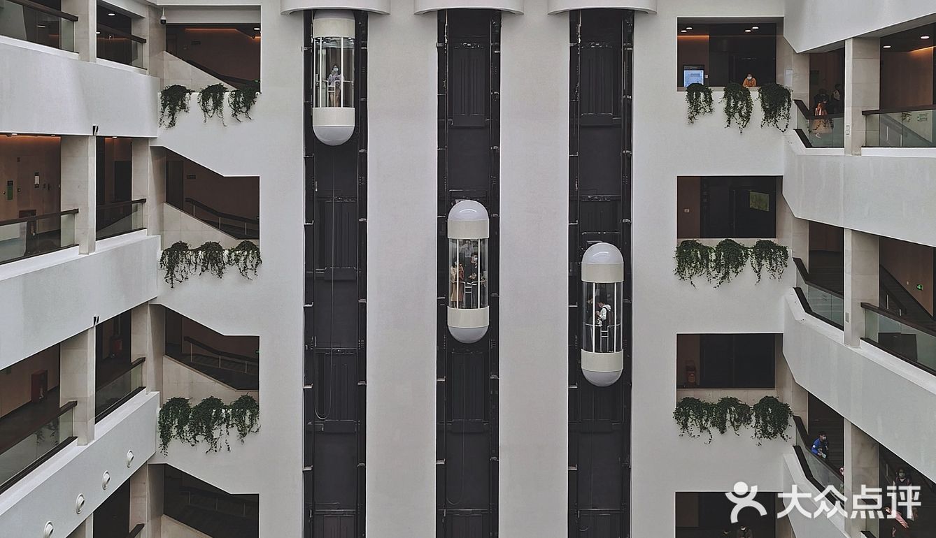 深圳游玩｜游人少且好逛的深圳古代艺术馆