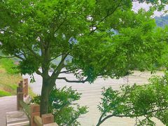 -飞霞风景名胜区