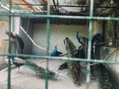 -无锡动物园·太湖欢乐园