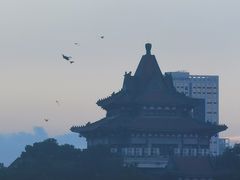 -顺峰山公园