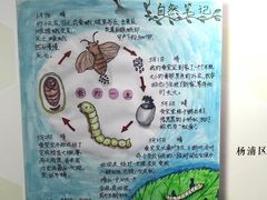 -上海昆虫博物馆