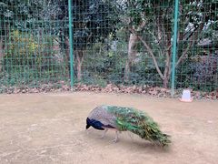 -杭州野生动物世界