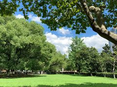 -星巴克(上海交通大学店)