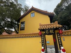 -太子山公园(园东路)