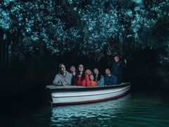 -怀托摩萤火虫洞