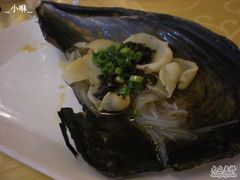 珍珠贝-海岛渔村大酒店(云霄路店)