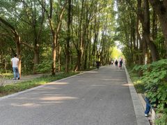 -同里国家湿地公园