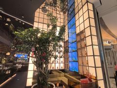 -桂满陇·海市蜃楼·黑金(国金店)