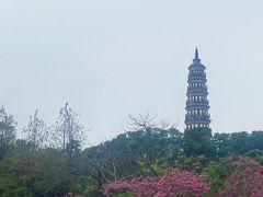 -顺峰山公园