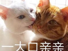 -米笑情(韩乐坊店)
