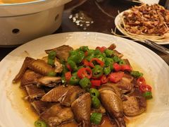 -成都保利公园皇冠假日酒店(熊猫基地店)