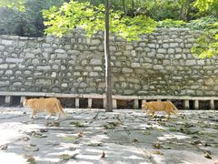 -北京凤凰岭