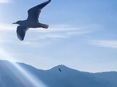 -海埂大坝