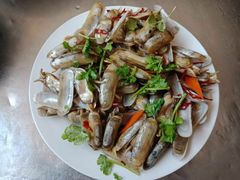 -宾朋海鲜特色美食餐厅·纯手工鲅鱼水饺(兴海路店)