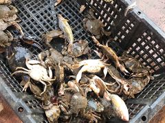 -东戴河风景区-止锚湾