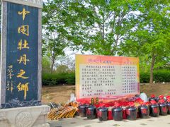 -曹州牡丹园