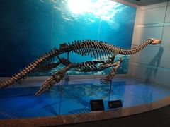 -自贡恐龙博物馆