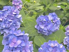 -常州古运河南大街文化旅游区-人民公园