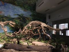 -自贡恐龙博物馆