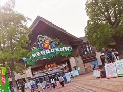 -苏州乐园森林水世界