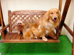 -白兔子密室(长寿路店)