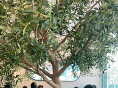 -Wagas沃歌斯(环贸店)