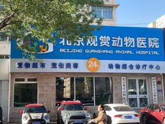 -北京观赏动物医院·24小时大型综合·猫专科·异宠专科