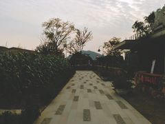 -田园东方蜜桃村的田野营地