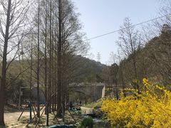 -白水寺森林公园