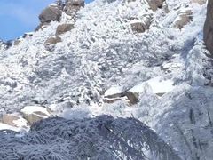 -崂山巨峰游览区