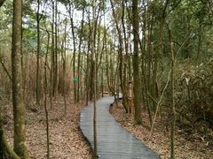 -广州市石门国家森林公园