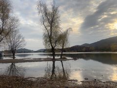 -长广溪湿地公园