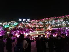 -枇杷园食为鲜火锅(南山店)